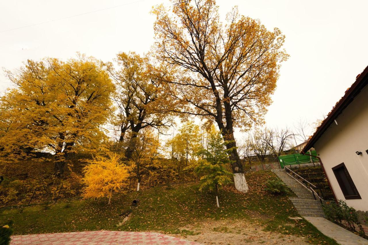 Stejarul Lui Andrei Hotel Izvoarele  ภายนอก รูปภาพ