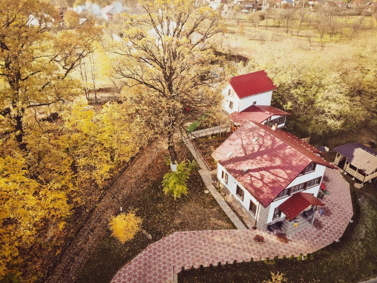 Stejarul Lui Andrei Hotel Izvoarele  ภายนอก รูปภาพ