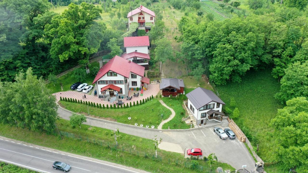 Stejarul Lui Andrei Hotel Izvoarele  ภายนอก รูปภาพ