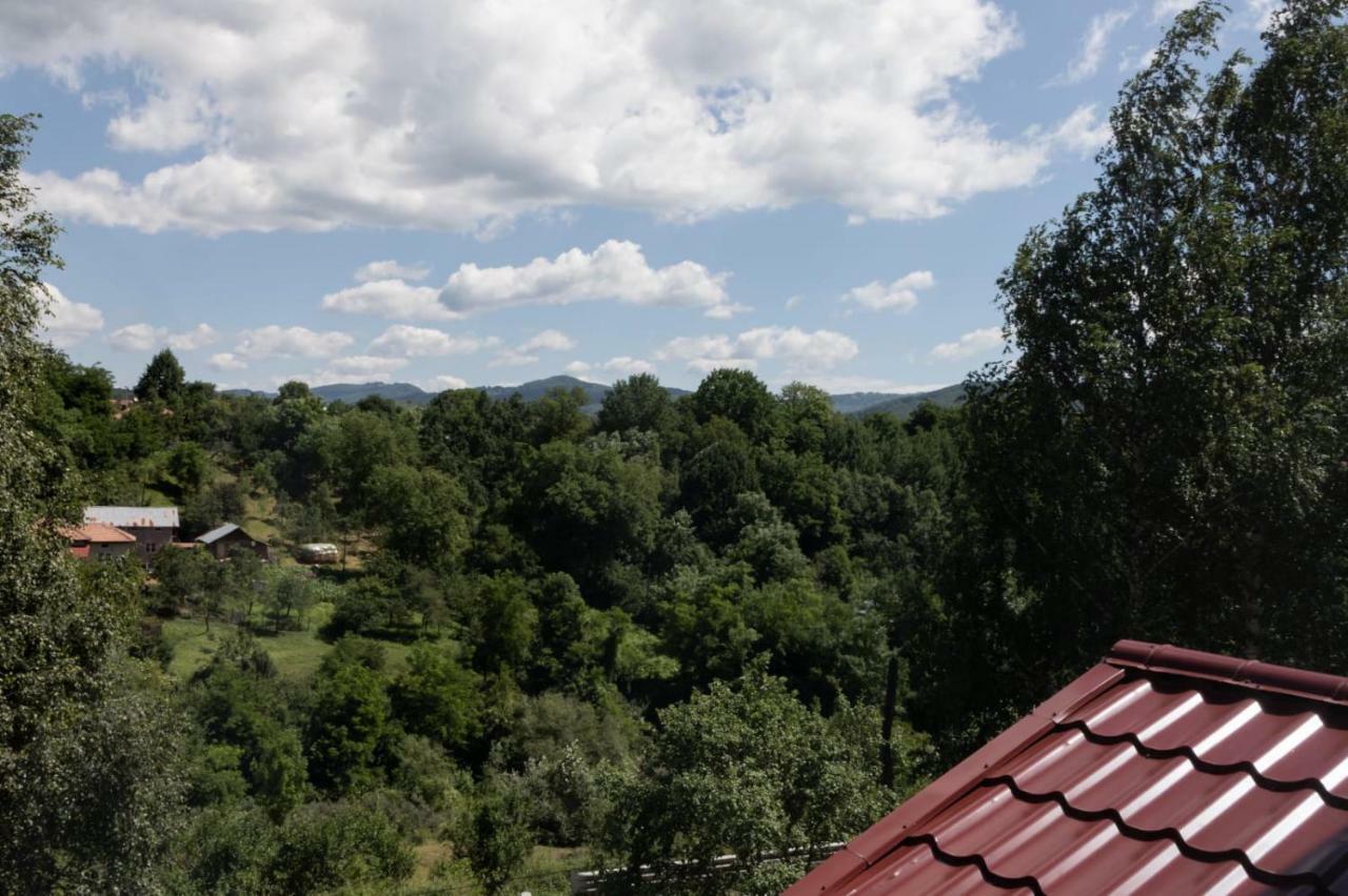 Stejarul Lui Andrei Hotel Izvoarele  ภายนอก รูปภาพ
